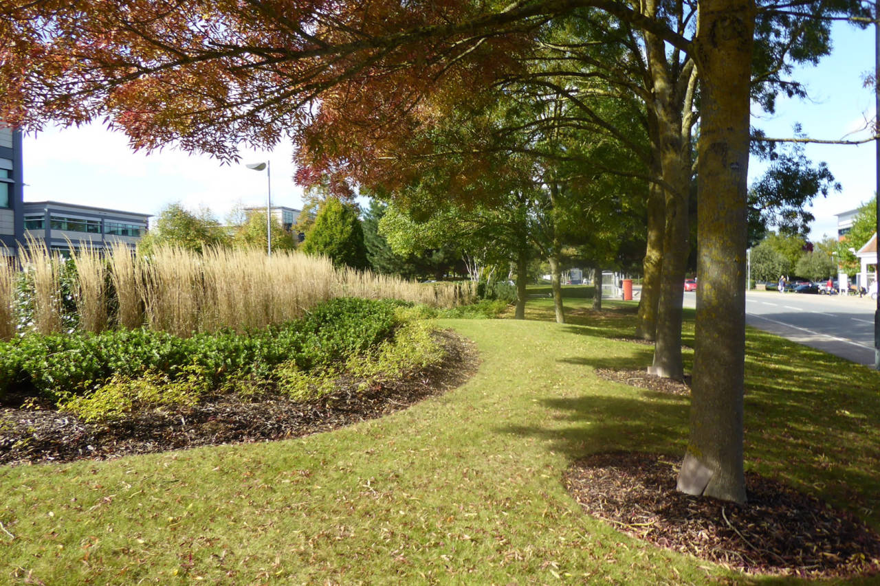 Milton Park Landscape Management