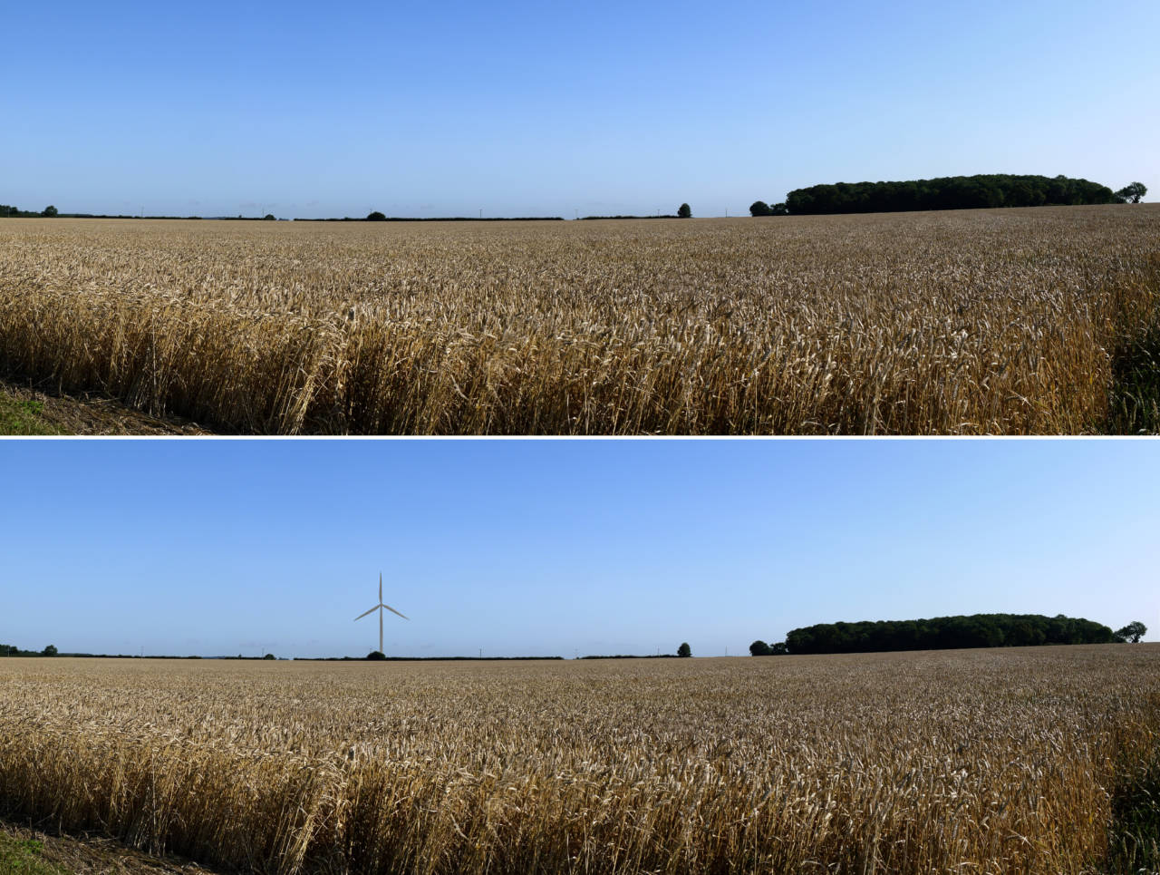 Nosterfield Wind Farm Landscape & Environmental Assessment