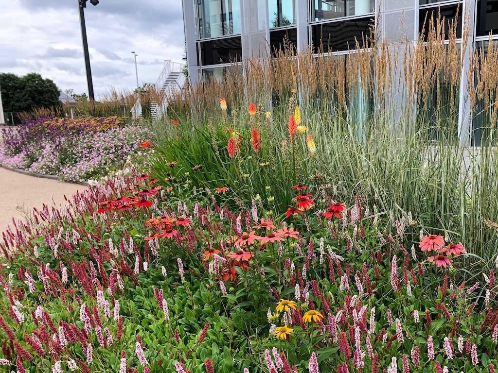 Winnersh Triangle Business Park in Bloom