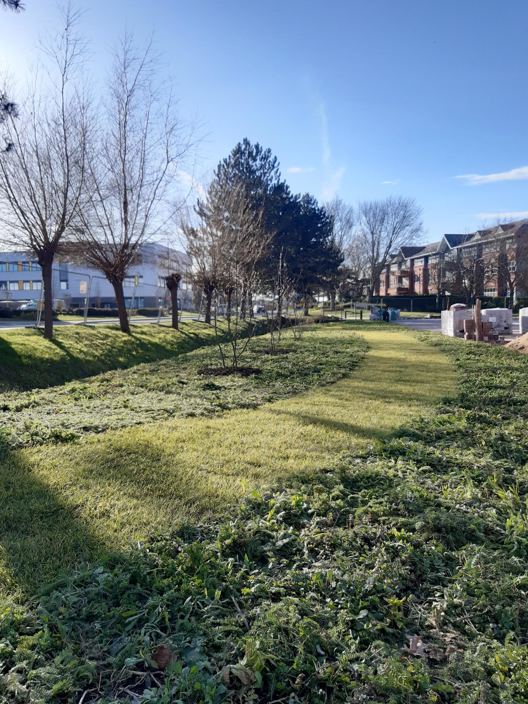 Article The Bee House at Milton Park Nears Completion 01 Featured