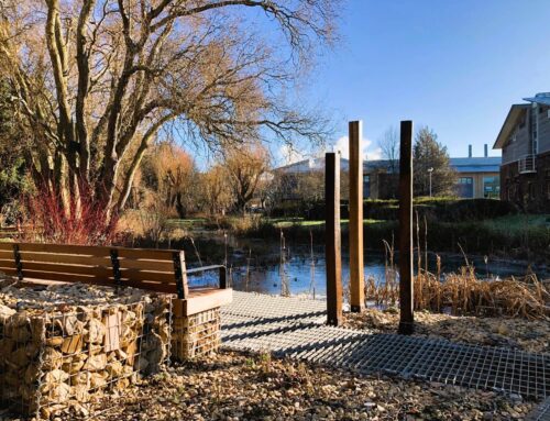 Creating The Recycled Garden at Milton Park
